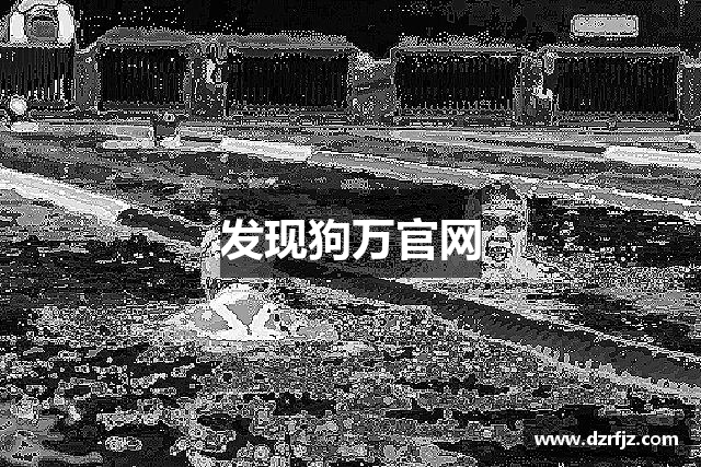 发现狗万官网